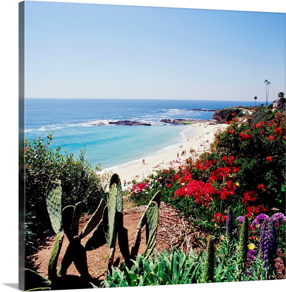 California, Orange County, Laguna Beach Wall Art, Canvas Prints, Framed Prints, Wall Peels
