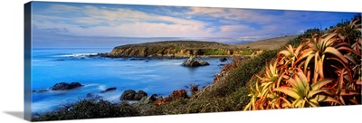 California, Pacific ocean, Big Sur, Late afternoon light over a rugged coastline