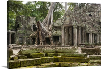 Cambodia, Siem Reap, Southeast Asia, Angkor, Preah Khan temple