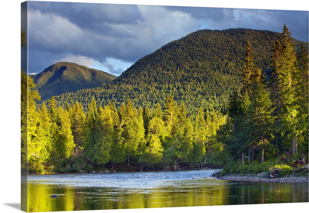 Canada, Quebec, Gaspe Peninsula, Gaspesie National Park, Fly fishing  Solid-Faced Canvas Print