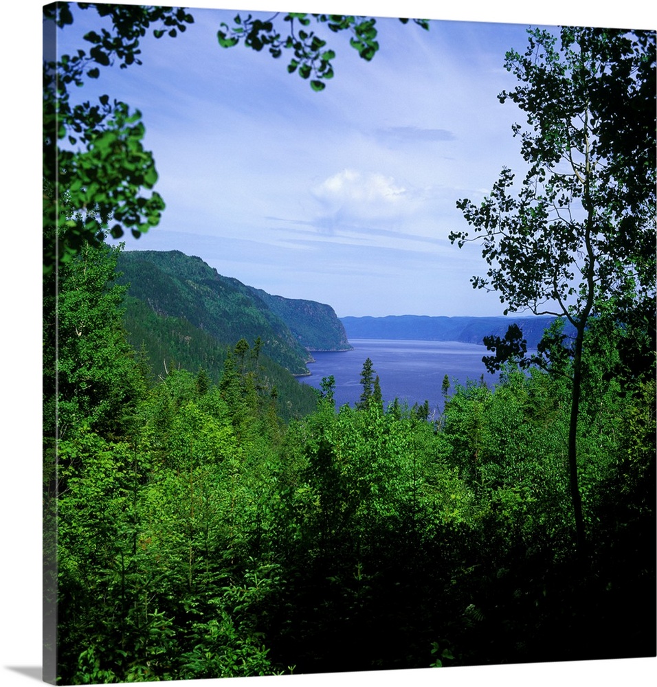Anse de Tabatiere, Saguenay, Quebec, Canada, 2003. Summer landscape..Photo:Alberto Biscaro