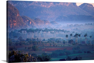 Caribbean, Cuba, Vinales Valley, Morning mist over Vinales Valley