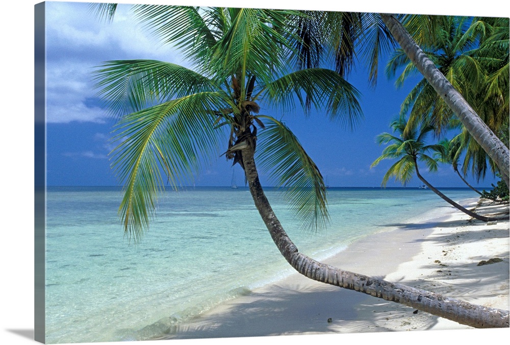 La spiaggia di Pigeon Point, sull'isola di Tobago, Antille, Caraibi....Pigeon Point beach, Tobago island, Antilles, the Ca...