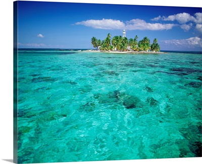 Central America, Belize, Reef