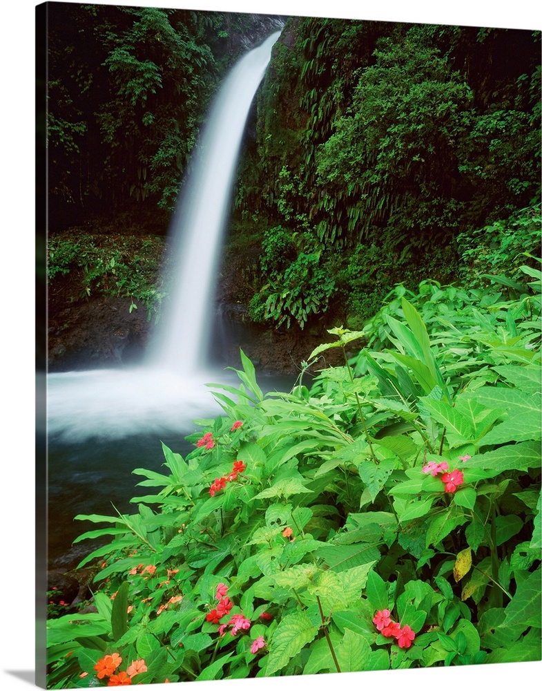 Central America, Costa Rica, Tropics, La Paz waterfalls