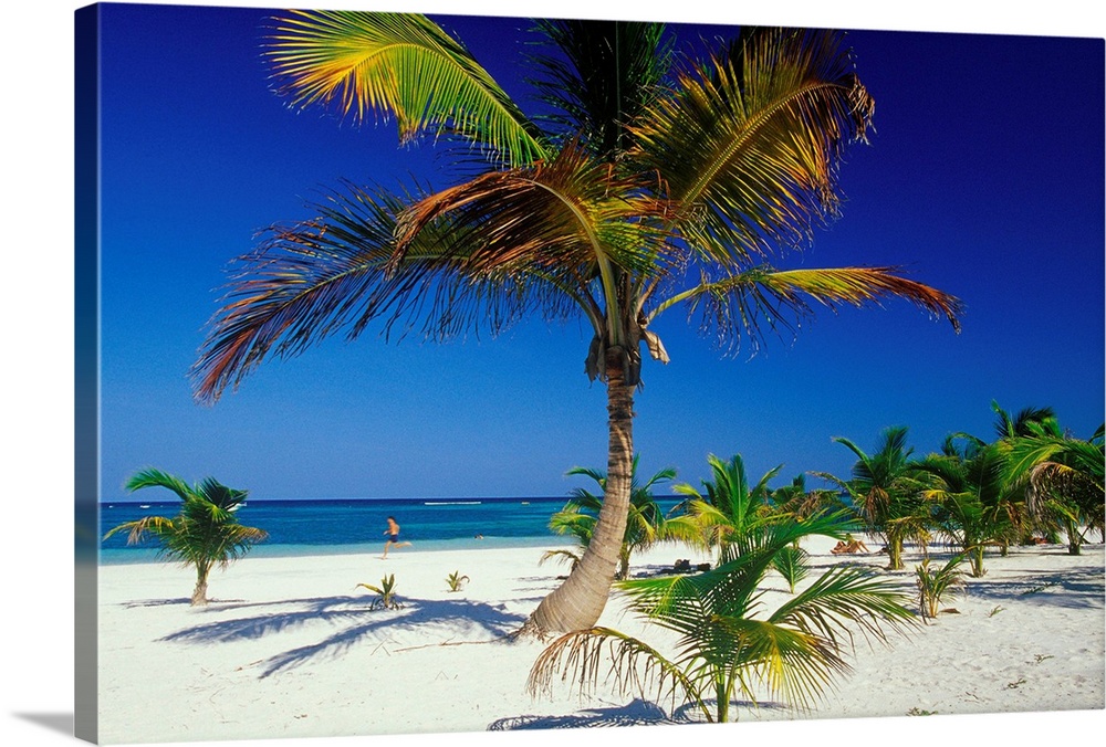 Central America, Mexico, Yucatan, Playa Akumal