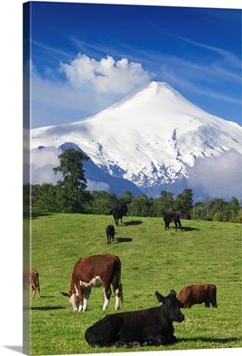 Chile, Araucania, Patagonia, Andes, Pucon, View of Villarrica volcan