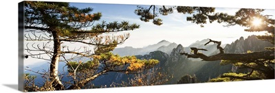 China, Anhui, Huangshan, Sunrise over the pine trees of the North sea
