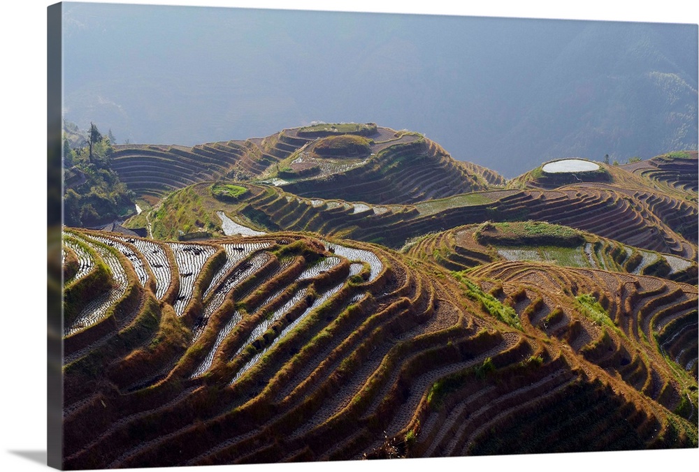 China, Guangxi, Rice terraces at Longji around Longsheng