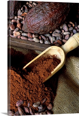 Cocoa fruit, cocoa beans and powder