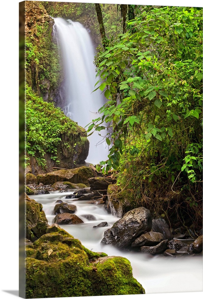 Costa Rica, Alajuela, Caribbean, Caribs, Po..s Volcano National Park, La Paz Waterfall Gardens