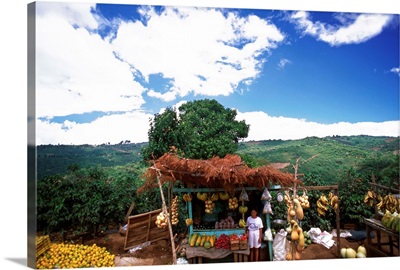 Costa Rica, Alajuela, Zarcero, Fruit seller near the village