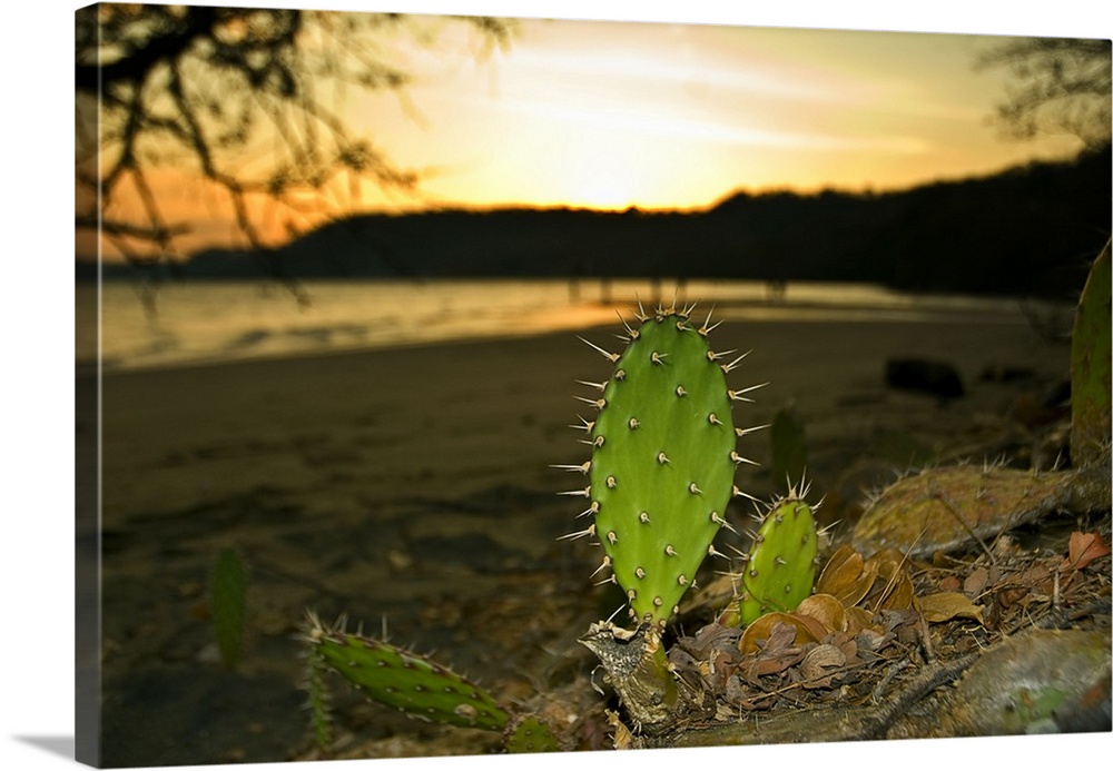 Costa Rica, Beach scene at sunset