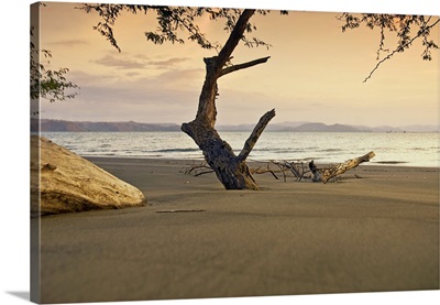 Costa Rica, Beach scene at sunset