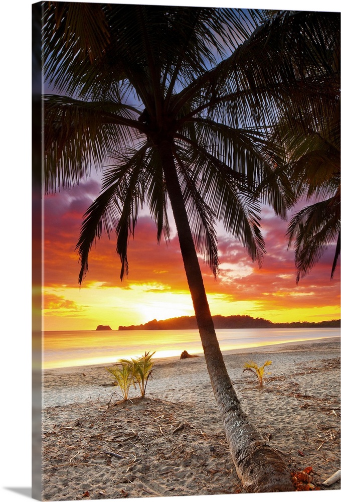 Costa Rica, Guanacaste, Caribbean, Caribs, Pacific ocean, Nicoya Peninsula. Playa Carrillo at sunset