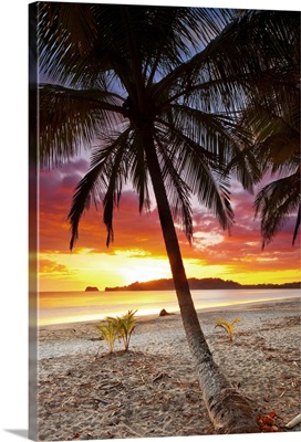 Costa Rica, Guanacaste, Caribbean,  Nicoya Peninsula. Playa Carrillo at sunset