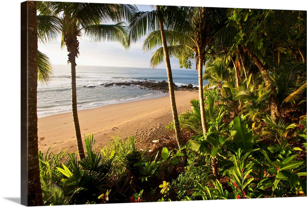 Costa Rica, Guanacaste, Caribbean, Caribs, Pacific ocean, Nicoya peninsula, Tambor beach