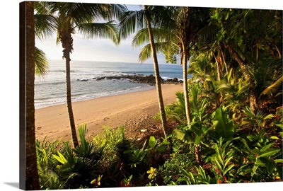 Costa Rica, Guanacaste, Caribbean, Pacific ocean, Nicoya peninsula, Tambor beach