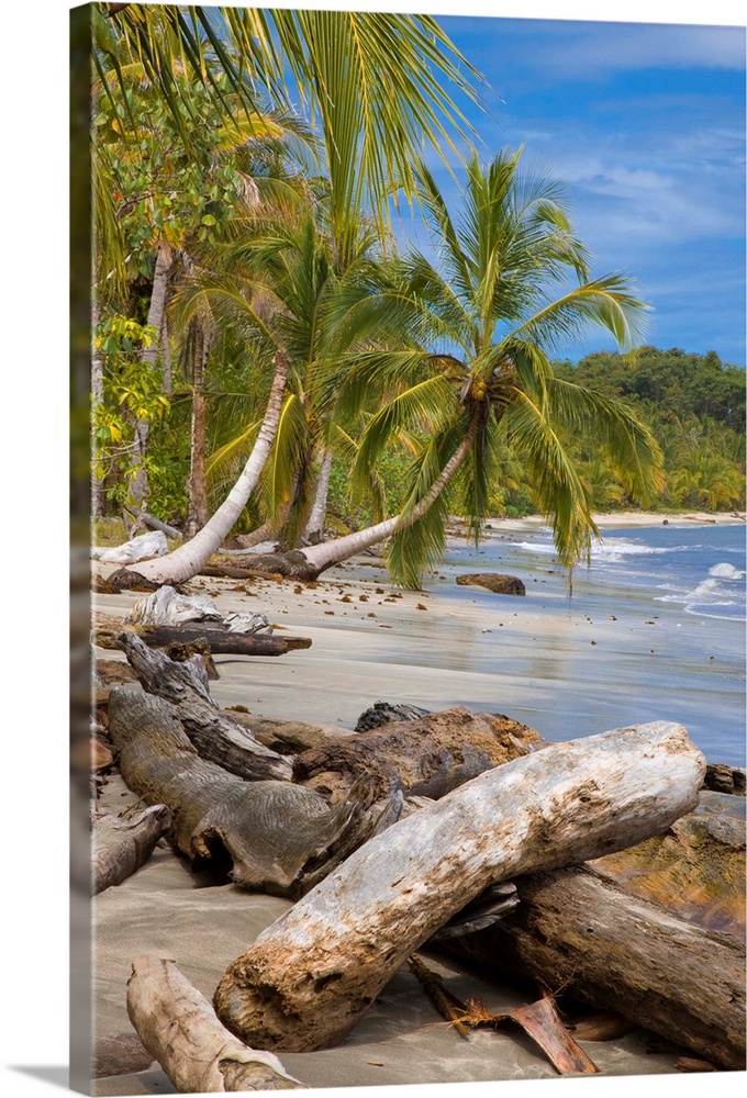 Costa Rica, Limon, Tropics, Caribbean sea, Cahuita National Park, Beach