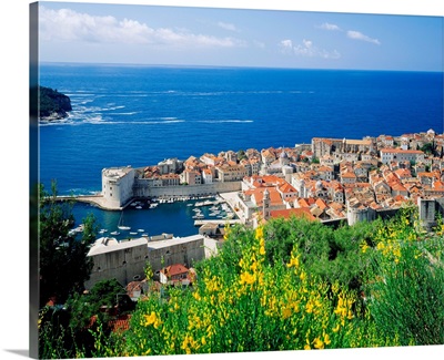 Croatia, Dalmatia, Dubrovnik, view of port and town