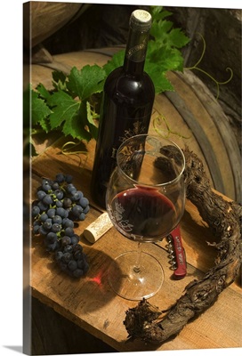 Croatia, Dalmatia, Potomje, Matusko wine cellar, bottle of Dingac wine