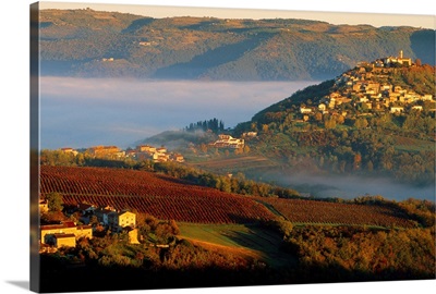 Croatia, Istria, Motovun, view of the village and vineyards