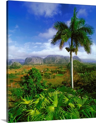 Cuba, Pinar del Rio, Vinales valley, Sierra de Los Organos, landscape