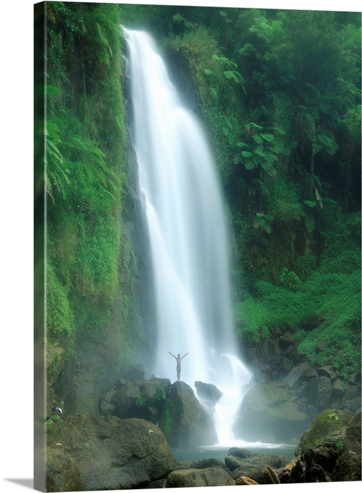 Wasserf..lle Trafalga Falls, Insel Dominica, Karibik