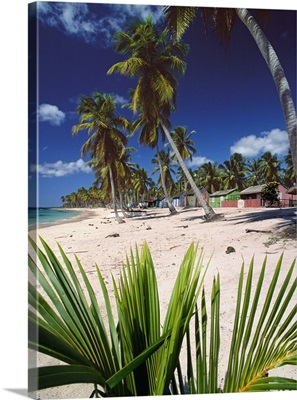 Dominican Republic, Isla Saona, A beach