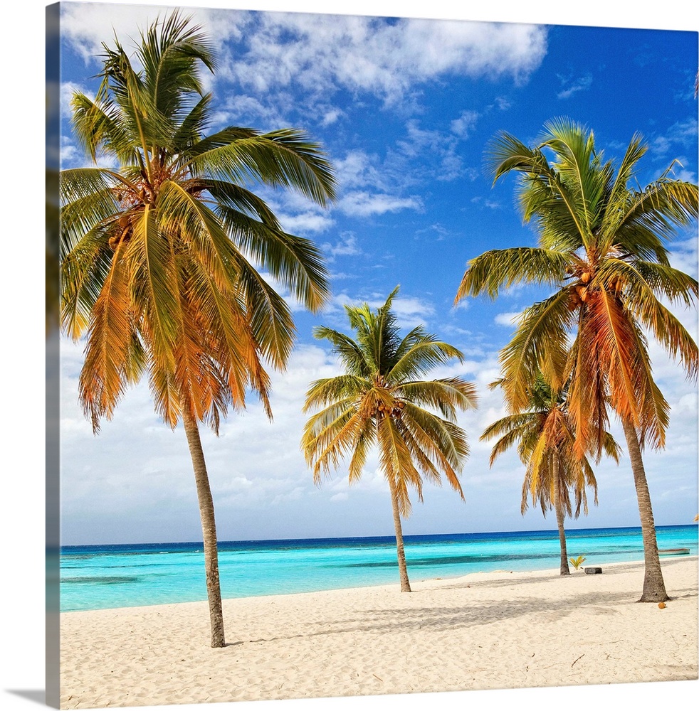 Dominican Republic, La Romana, Isla Saona, Caribbean, Caribs, Parque Nacional Del Este, Travel Destination, Beach