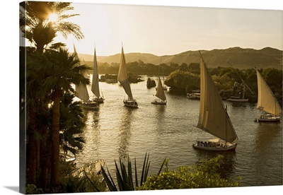Egypt, Nubia, Aswan, Nile, The sail boats Feluccas on the Nile river