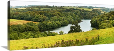 England, Cornwall, Looking down on the Fal River from Trelissick Gardens