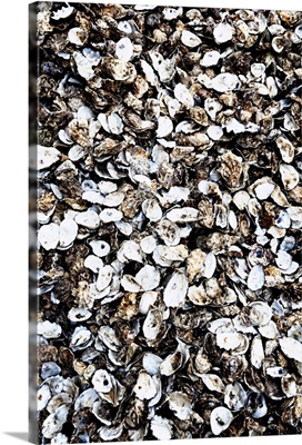 England, Kent, Whitstable, Oyster shells