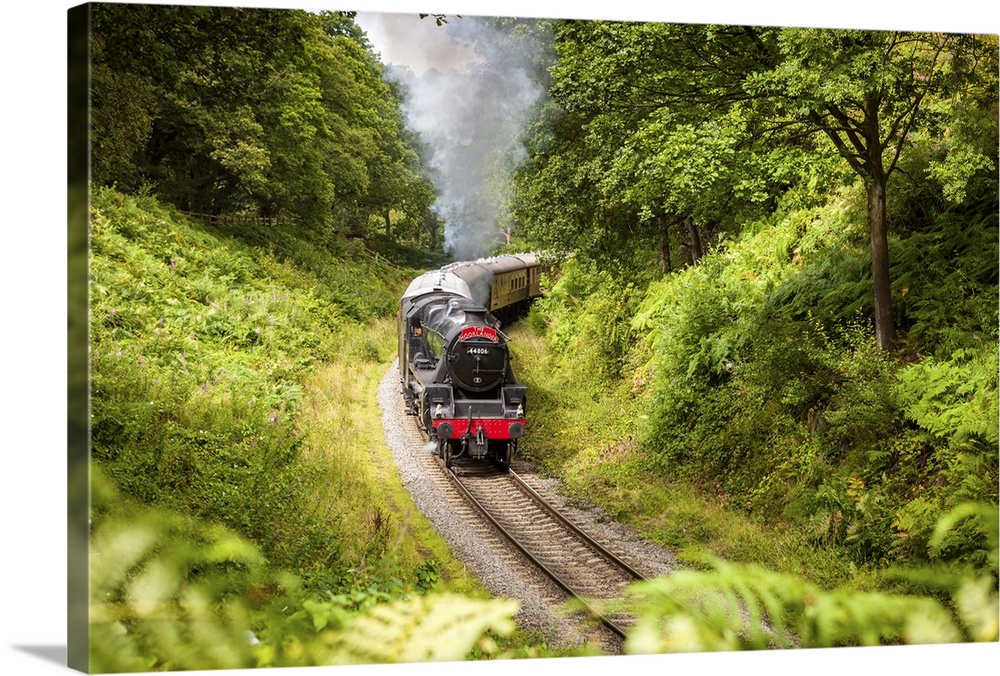 UK, England, Great Britain, North York Moors National Park, North Yorkshire, Steam train on the North Yorkshire Moors Rail...