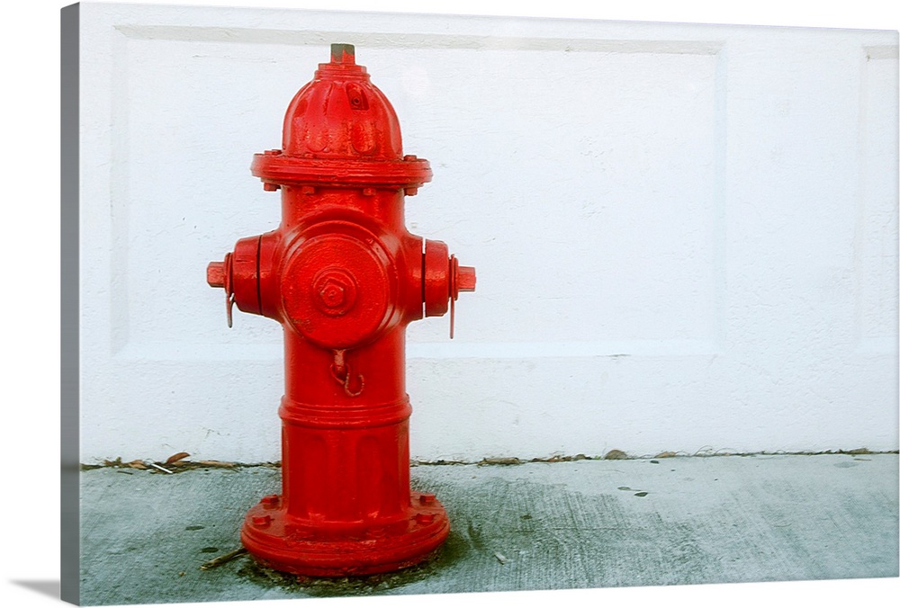 United States, USA, Florida, Key West, fire hydrant