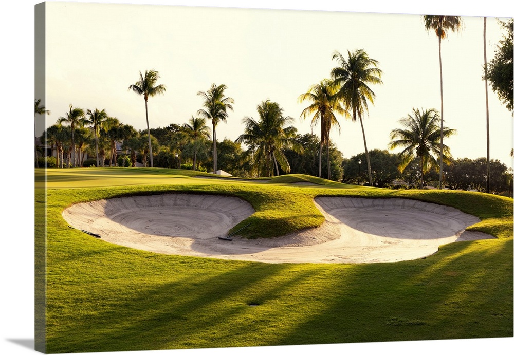 Florida, Boca Raton, golf course with palm trees.