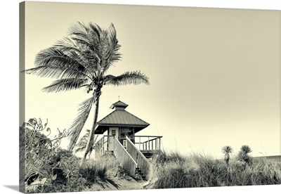 Florida, Boca Raton, Lifeguard Tower With Palm Tree At The Beach