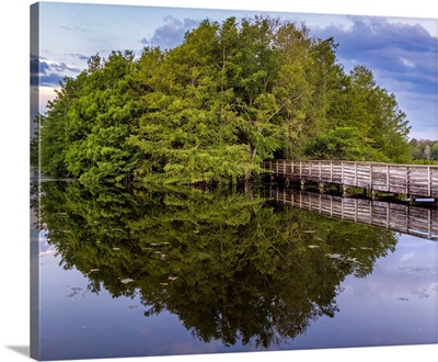 Florida, Boynton Beach, Green Cay Nature Center And Wetlands, Wooden Footpath