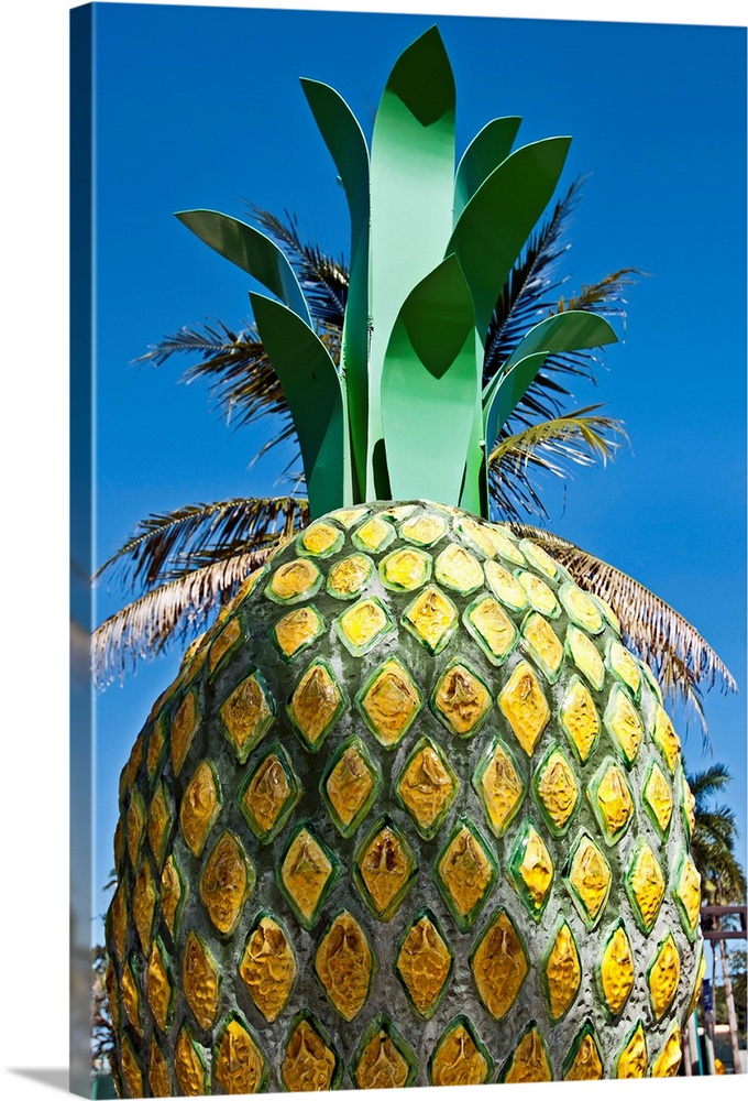 Florida, Delray Beach, Giant Pineapple, Delray Beach Icon at South County Courthouse