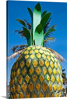 Florida, Delray Beach, Giant Pineapple, Delray Beach Icon at South County Courthouse