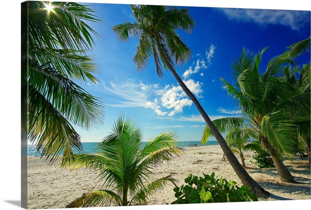 Florida, Ft. Myers Beach, The beach Wall Art, Canvas Prints, Framed ...