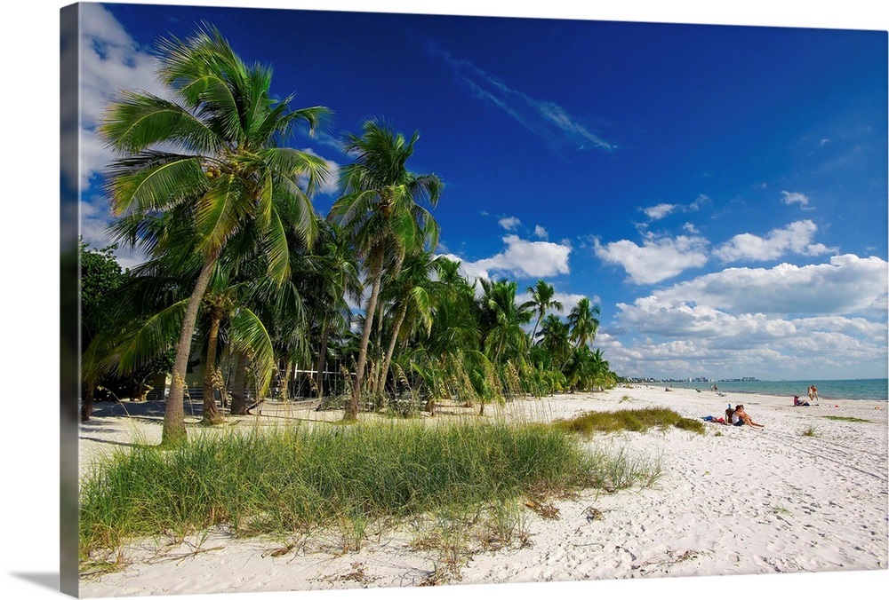 Florida, Ft. Myers Beach, The beach Wall Art, Canvas Prints, Framed Prints, Wall Peels Great