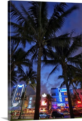 Florida, Miami, Miami Beach, Hotels along the Ocean Drive