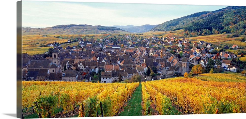 France, Alsace, Vineyard and Riquewihr village