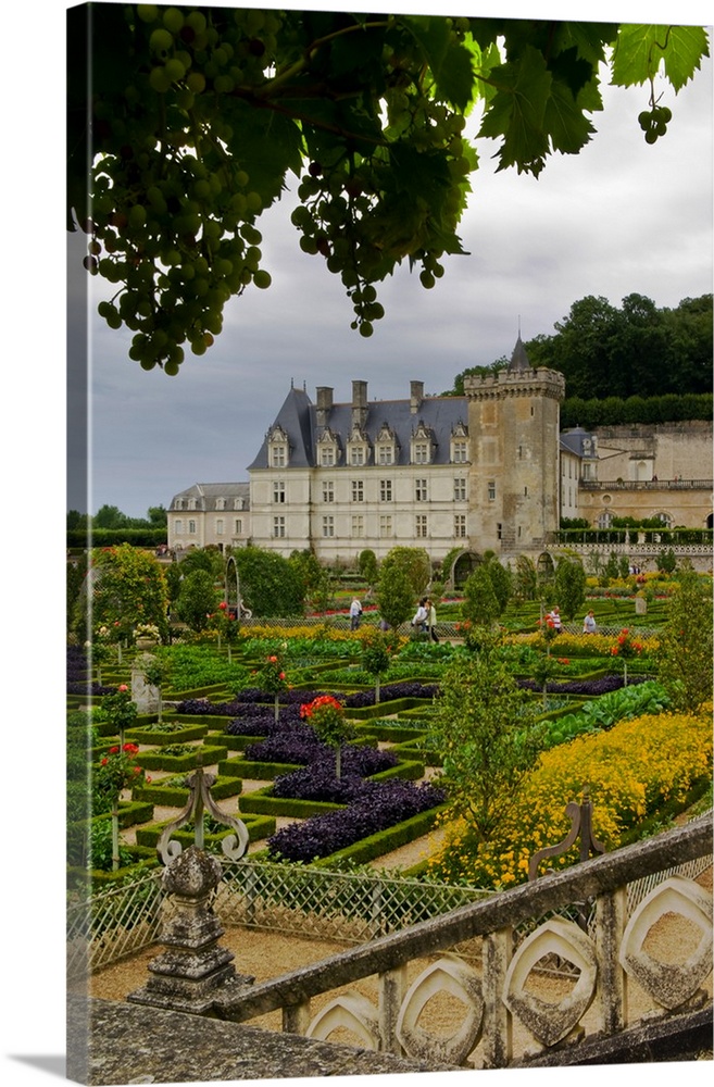 France, Centre, Villandry, Loire Valley, gardens of Chateau de Villandry