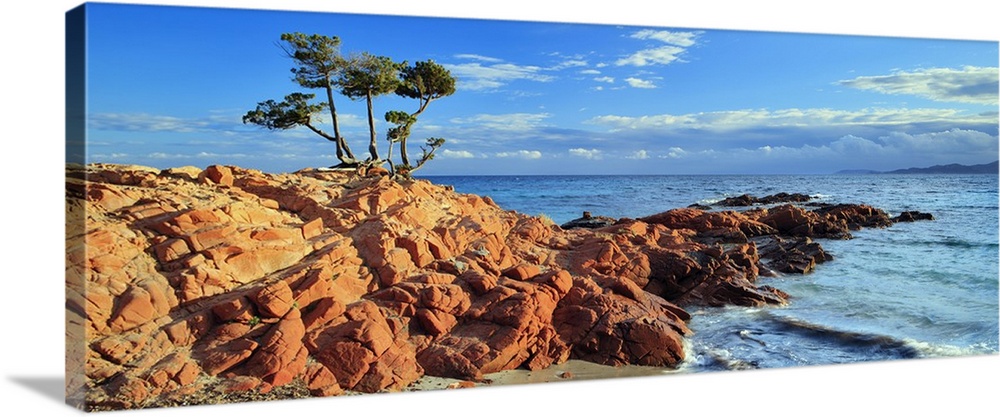 France, Corsica, Porto-Vecchio, Mediterranean sea, Parc International Marin des Bouches de Bonifacio, Corse-du-Sud, Travel...