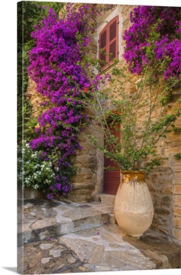 France, Cote D'azur, French Riviera, Var, House Entrance With Blooming Bougainvillea