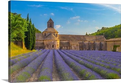 France, Gordes, Provence, Notre-Dame De Senanque Abbey With Lavender Fields