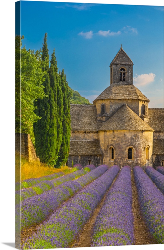 France, Provence-Alpes-Cote d'Azur, Gordes, Senanque Abbey, Provence, Notre-Dame de Senanque abbey with lavender fields.