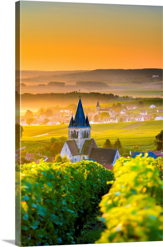 France, Grand Est, Ville-Dommange, Marne, Classic landscape in Champagne region, France.